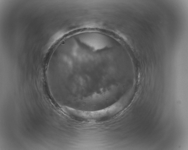 X0000079281263200611251612