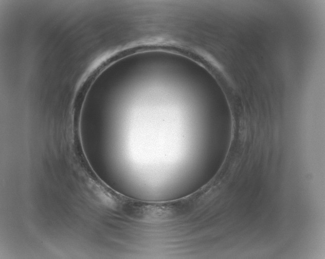 X0000079281270200611251612