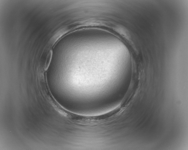 X0000079281273200611251612