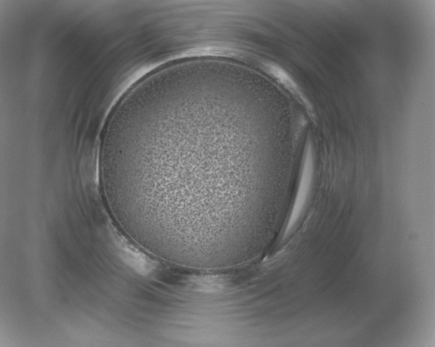 X0000079281276200611251612