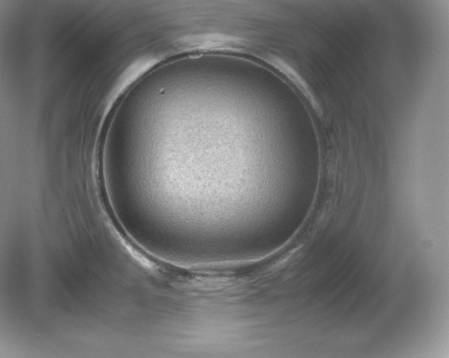 X0000079281285200611251612