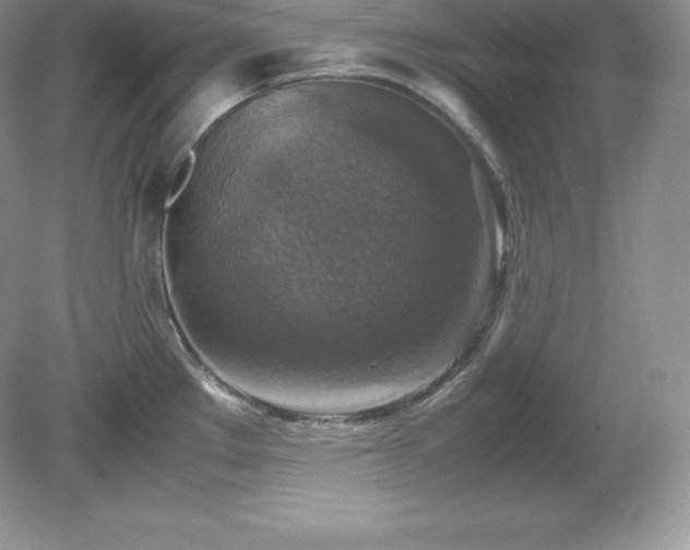 X0000079281289200611251612