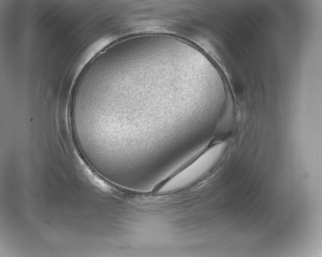 X0000079281293200611251612