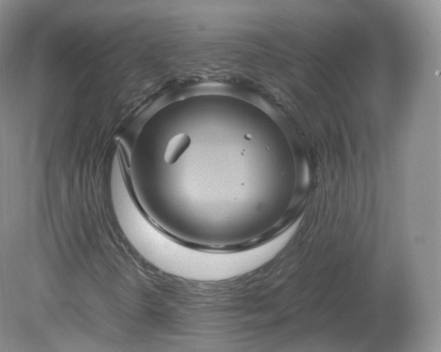 X0000079281298200611251611