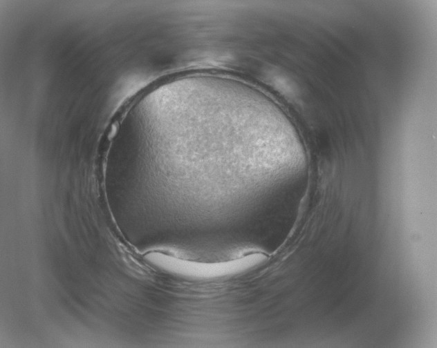 X0000079281308200611251611