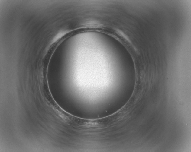 X0000079281315200611251611