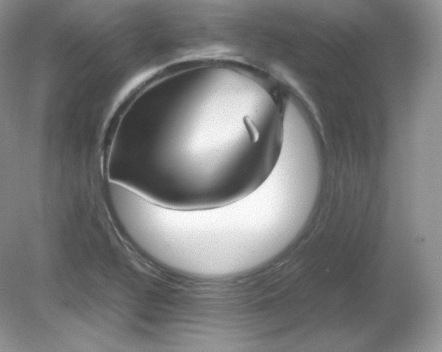 X0000079281320200611251611