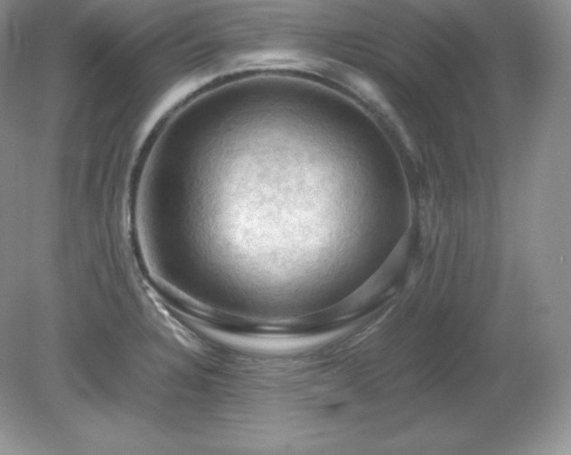 X0000079281328200611251611