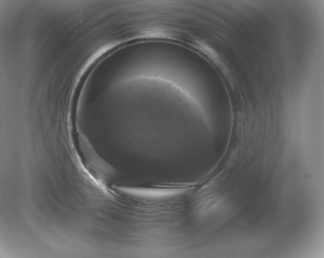 X0000079281331200611251611