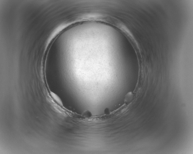 X0000079281336200611251611
