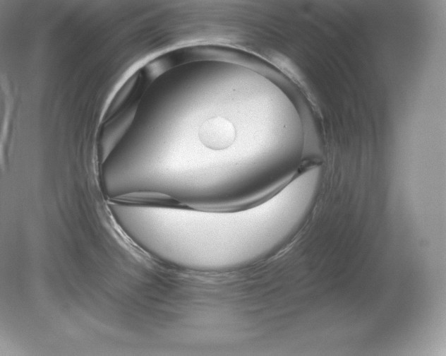 X0000079281340200611251611