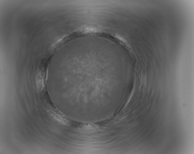 X0000079281348200611251611