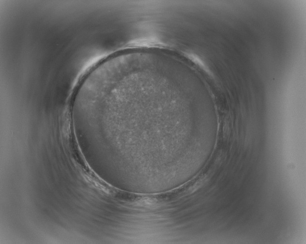X0000079281358200611251610