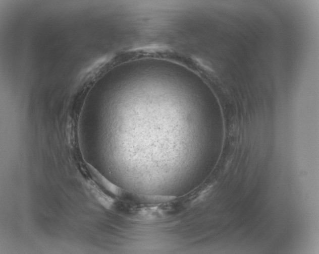 X0000079281398200611251609
