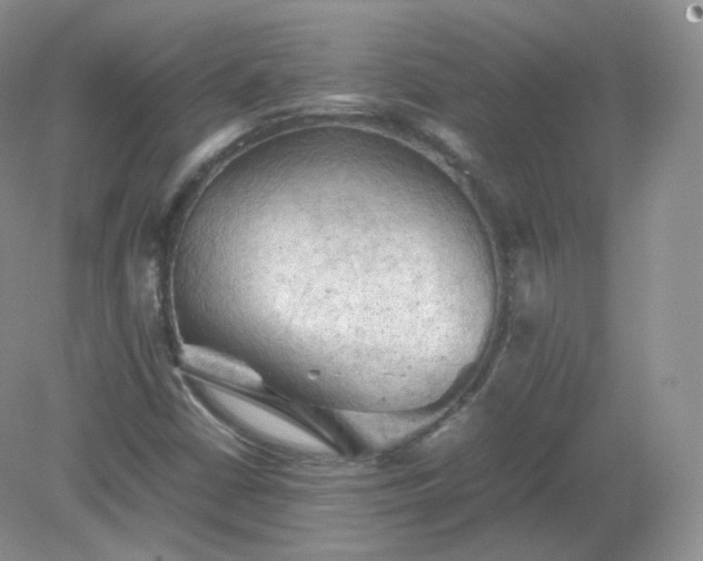 X0000079281402200611251609
