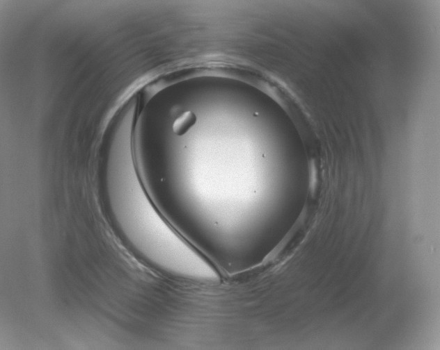X0000079281410200611251609