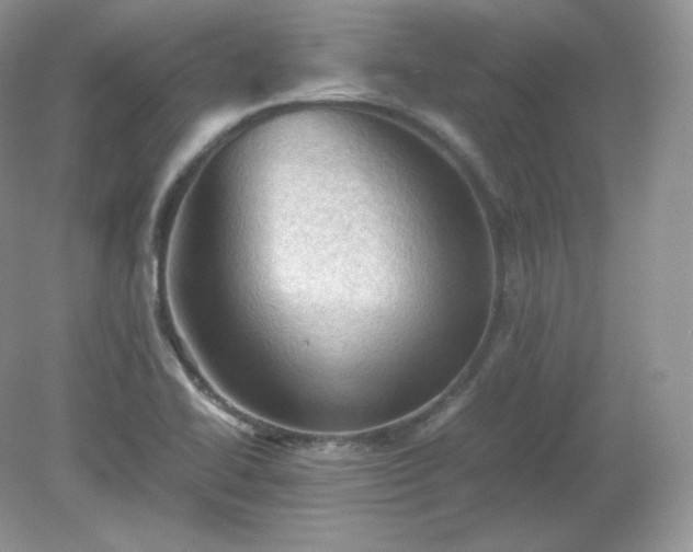 X0000079281414200611251609