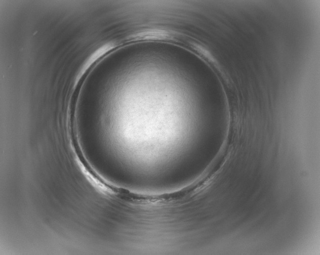 X0000079281426200611251610