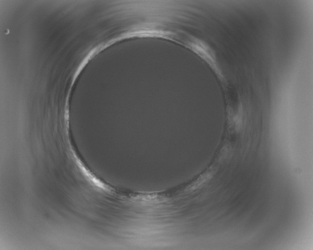X0000079281428200611251610