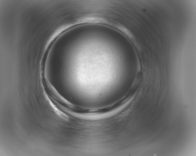 X0000079281430200611251610