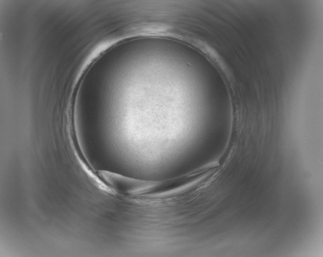 X0000079281432200611251610