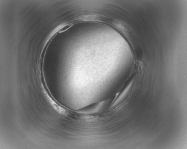 X0000079281434200611251610
