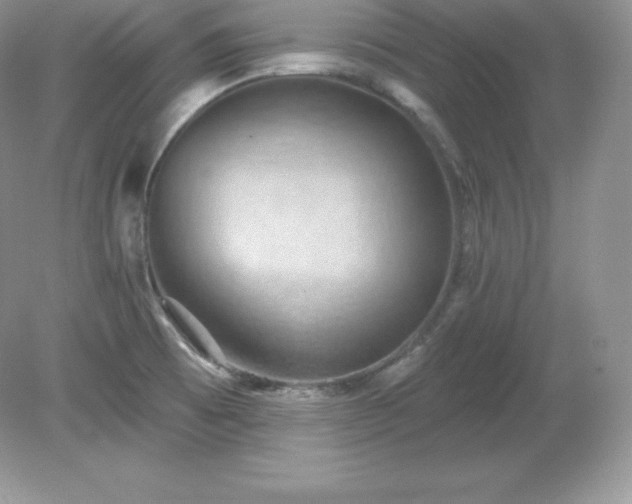 X0000079281473200611251609