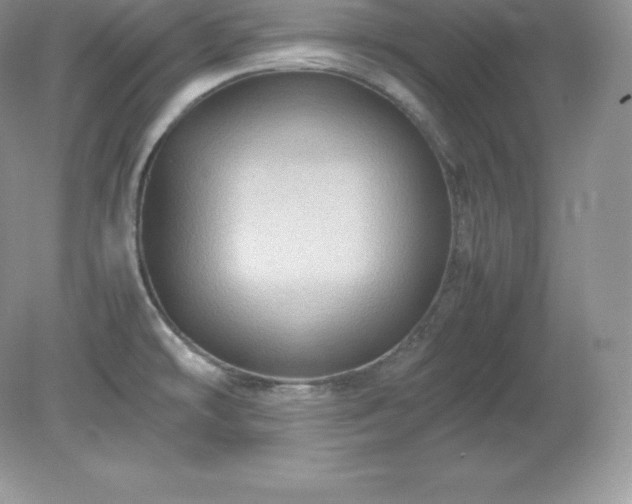 X0000079281478200611251608