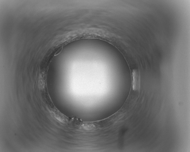 X0000079281491200611251608