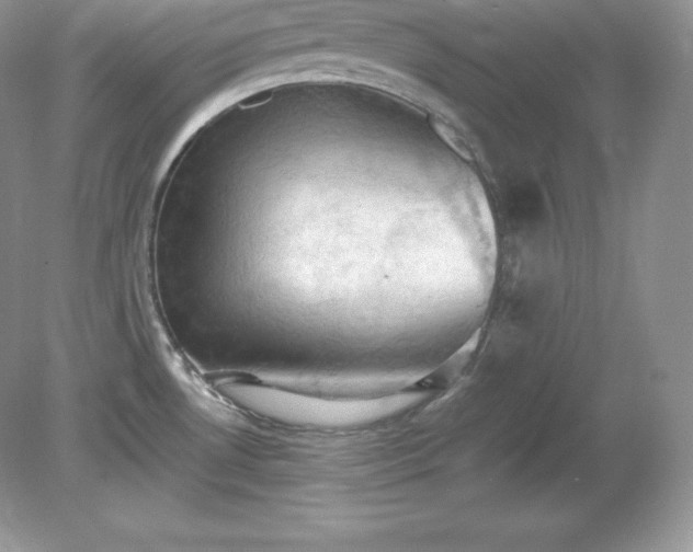 X0000079281530200611251608
