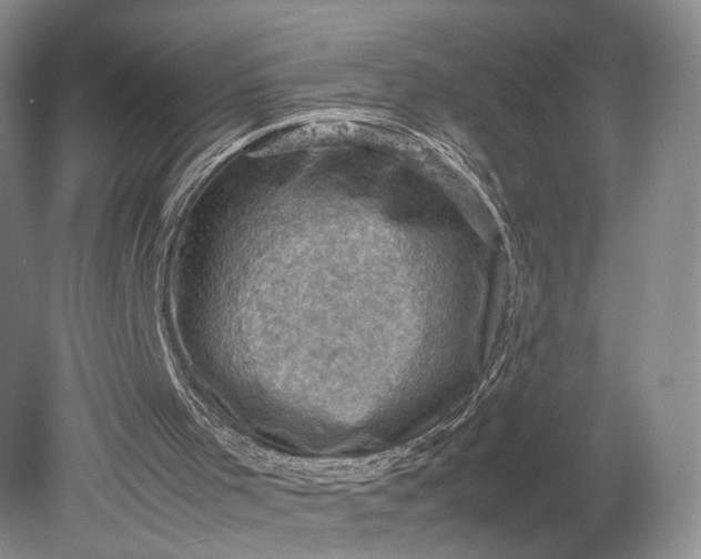 X0000079280001200612011710