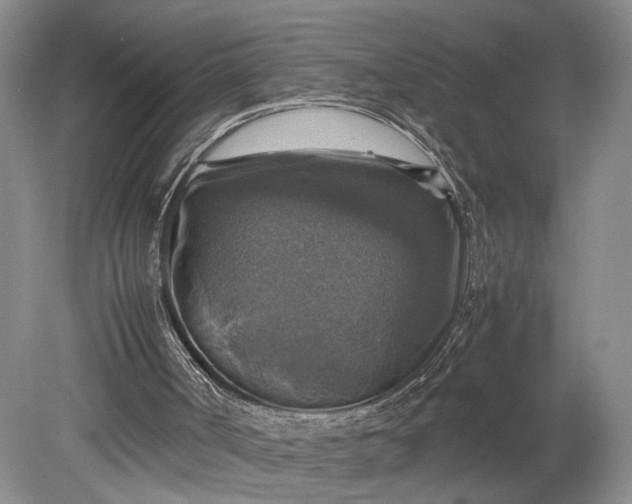 X0000079280002200612011710