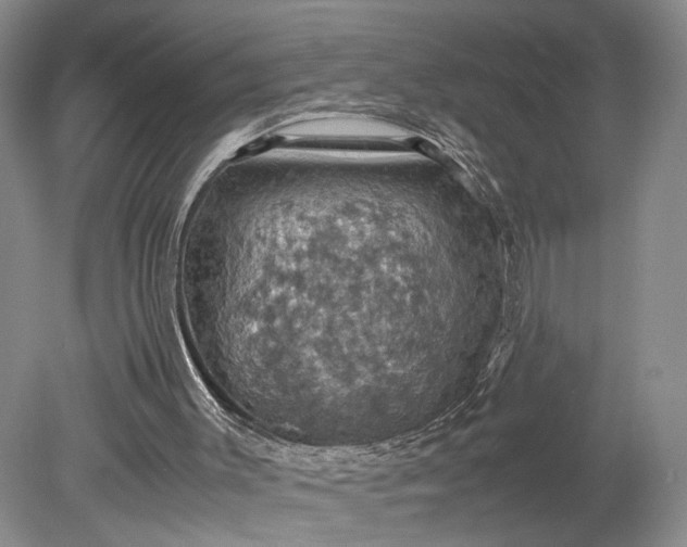 X0000079280003200612011710