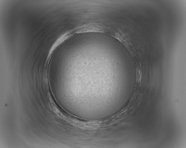 X0000079280004200612011710