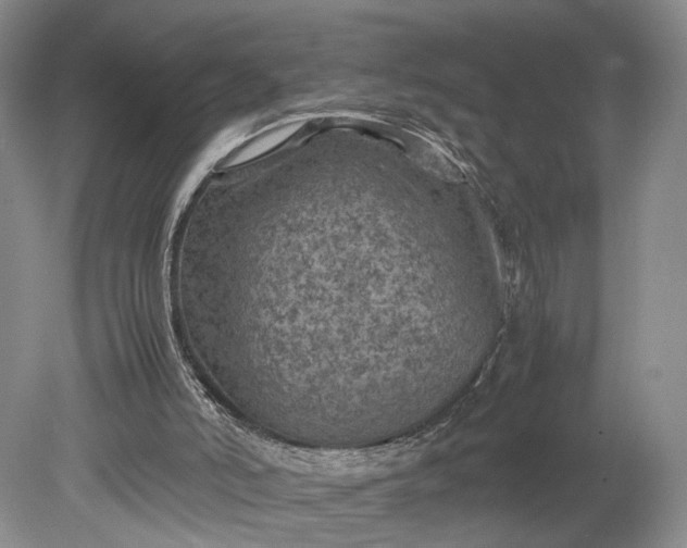 X0000079280006200612011710