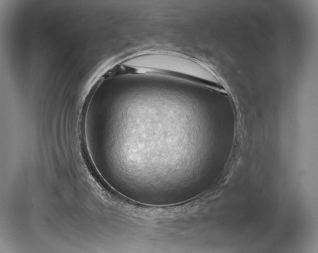 X0000079280007200612011710