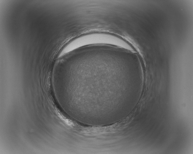 X0000079280009200612011710