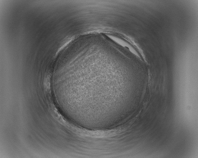 X0000079280010200612011710