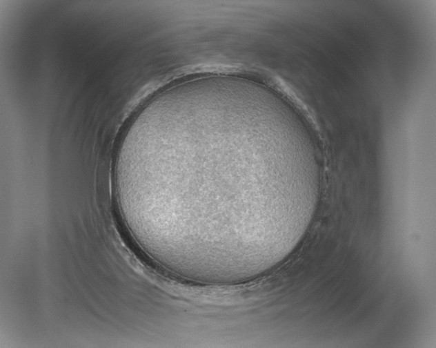 X0000079280011200612011710