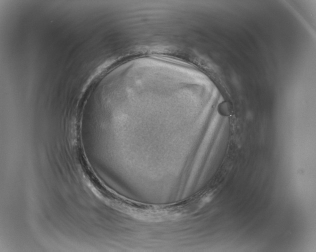 X0000079280012200612011710