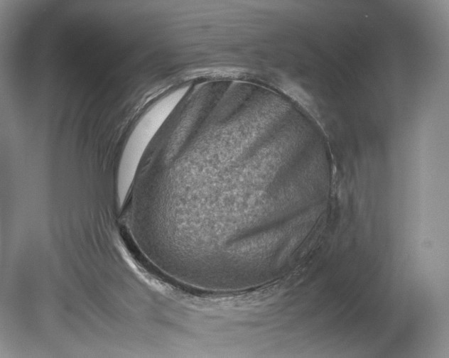 X0000079280013200612011710