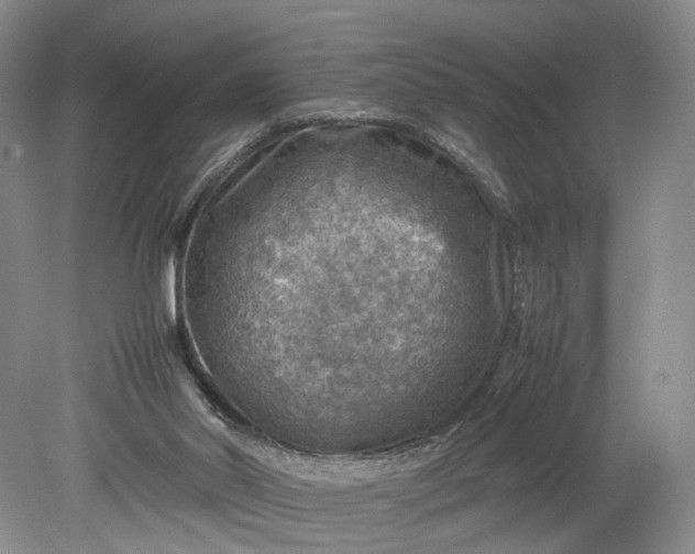 X0000079280014200612011710