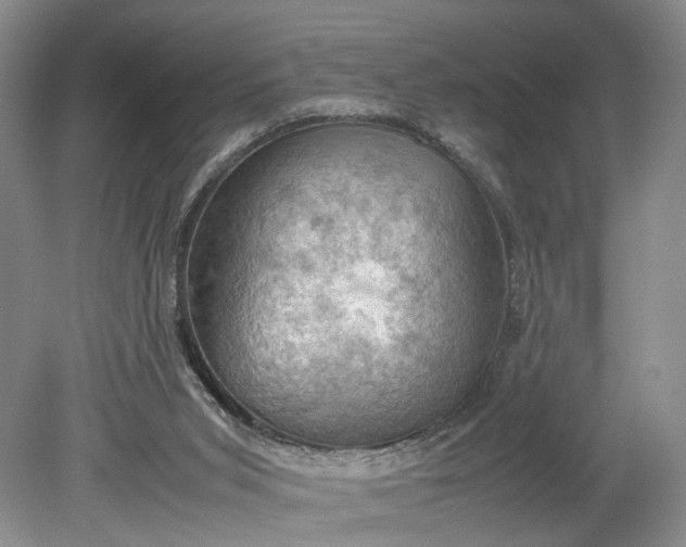 X0000079280015200612011710