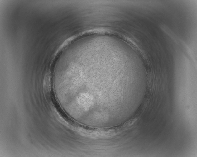 X0000079280016200612011710