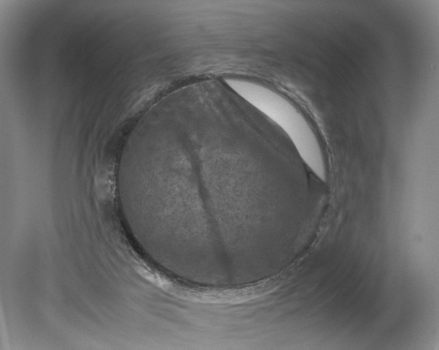 X0000079280017200612011710