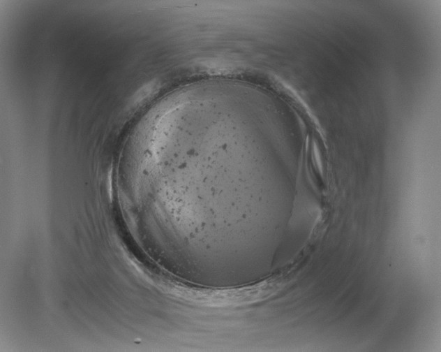 X0000079280019200612011710