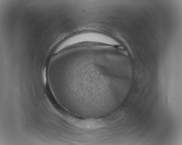 X0000079280020200612011710