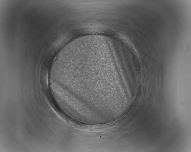 X0000079280021200612011710