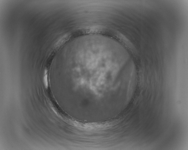 X0000079280022200612011710