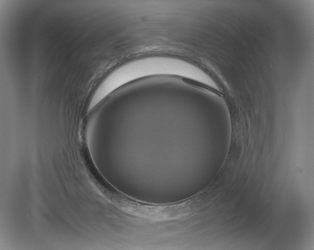 X0000079280023200612011710